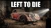They Let This Die A 1938 Alfa Romeo 8c 2900b Worth Millions