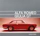 Alfa Romeo Giulia Gt Tipo 105 (bertone Sprint Gta Gtc Junior Veloce) Buch Livre