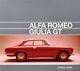 Alfa Romeo Giulia Gt Tipo 105 (bertone Sprint Gta Gtc Junior Veloce) Livre De Livre